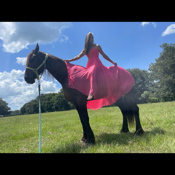 Meet your Posher, Linda - Picture 7 of 16